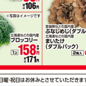 ブロッコリー