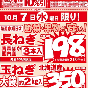 ながねぎ