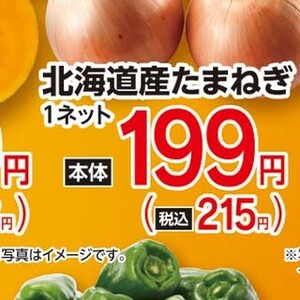 たまねぎ