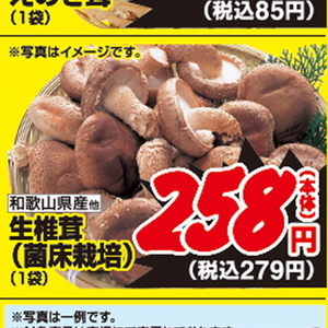 しいたけ