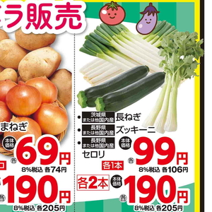 ながねぎ