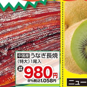 うなぎの蒲焼き