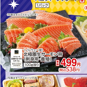 サーモン（さく取り）