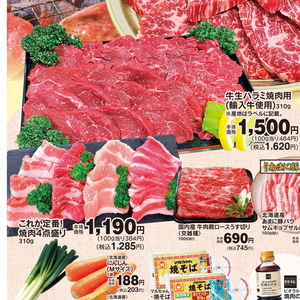 牛肉ハラミ