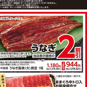 うなぎの蒲焼き