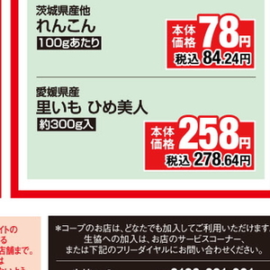 さといも