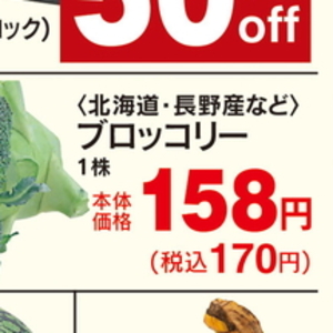 ブロッコリー