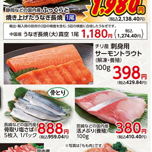 サーモン（刺身）