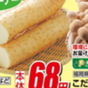 ながいも