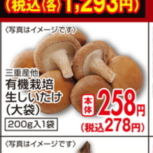しいたけ