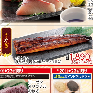 うなぎの蒲焼き