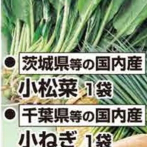 こまつ菜