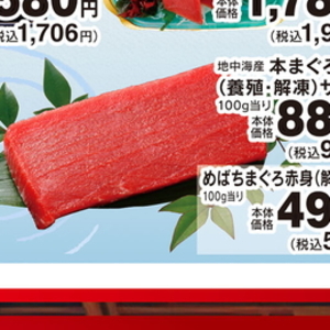 まぐろ中とろ