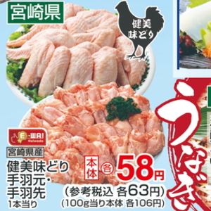 鶏手羽元