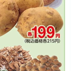 しいたけ