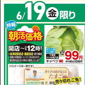 きゃべつ