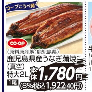 うなぎの蒲焼き