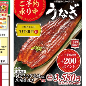 うなぎの蒲焼き