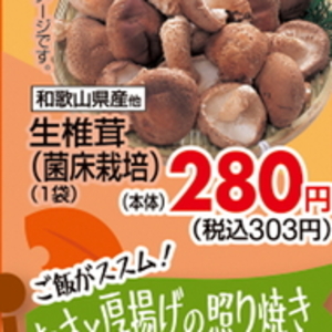 しいたけ