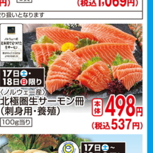 サーモン（さく取り）