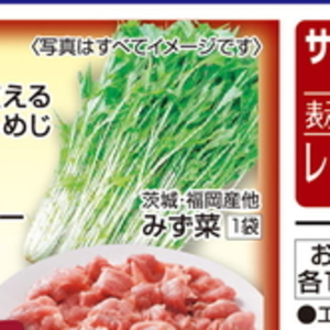 ブロッコリースプラウト