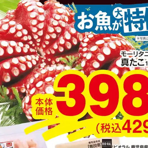 たこ（ボイル）