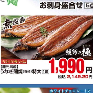 うなぎの蒲焼き