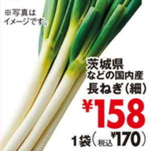 ながねぎ