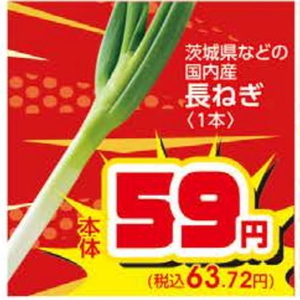 ながねぎ