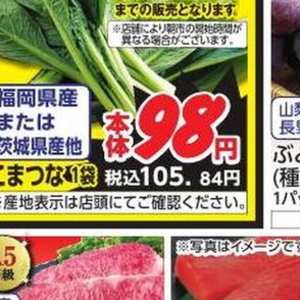 ごぼう