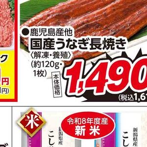豚ひき肉