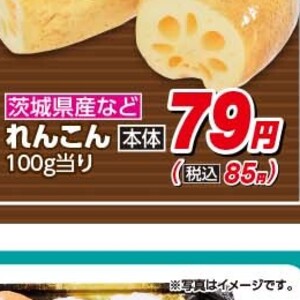 レンコン