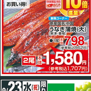 うなぎの蒲焼き