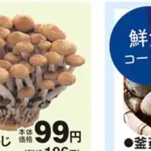 しめじ