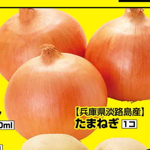 たまねぎ