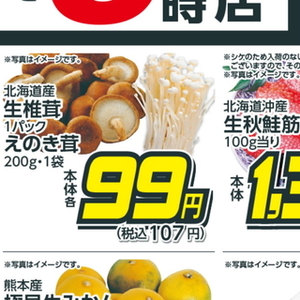 しいたけ