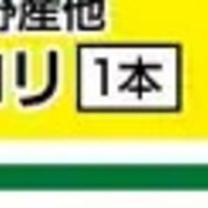 セロリ