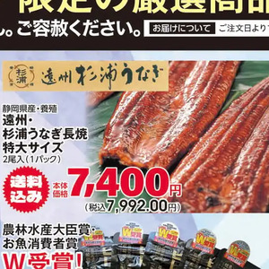うなぎの蒲焼き