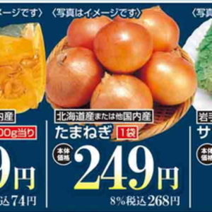 たまねぎ