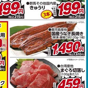 うなぎの蒲焼き
