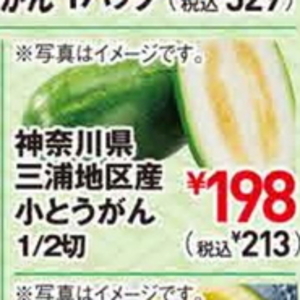 冬瓜