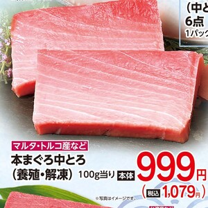 まぐろ中とろ