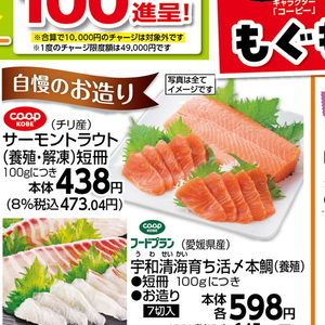 サーモン（刺身）
