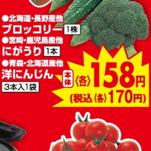 ゴーヤ