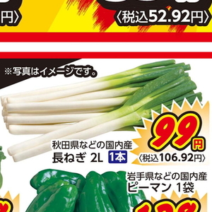 ながねぎ