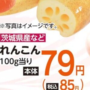 レンコン
