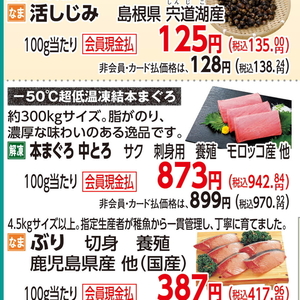 まぐろ中とろ