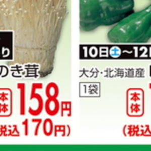 えのき茸