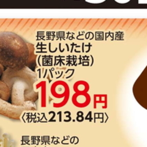 しいたけ