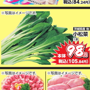 こまつ菜